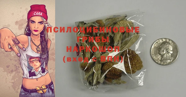 ECSTASY Протвино